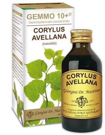 NOCCIOLO 100ML ANALCO GEM 10+-1