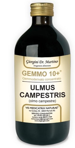 OLMO CAMP 500ML ANALCO GEMM10+-1
