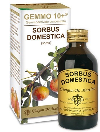 SORBO 100ML ANALCO GEMMO 10+-1