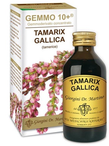 TAMERICE 100ML ANALCO GEMMO10+-1