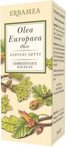 OLEA EUROPEA OLIVO BIO 50ML-1