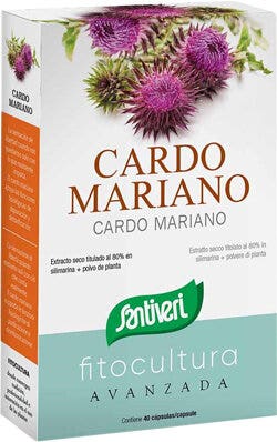 CARDO MARIANO 40CPS-2