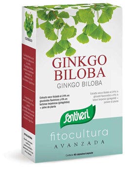 GINKGO BILOBA 40CPS-2