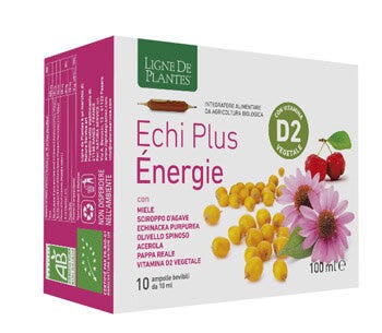 ECHI PLUS ENERGIE 10AMPOLLE-2