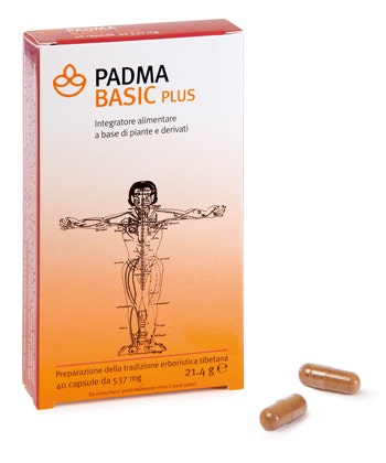 PADMA BASIC PLUS 40CPS-1