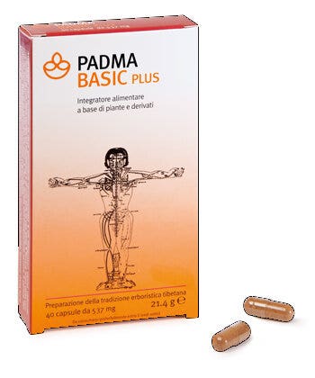 PADMA BASIC PLUS 40CPS-2