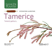 TAMERICE 15AMPOLLE-1