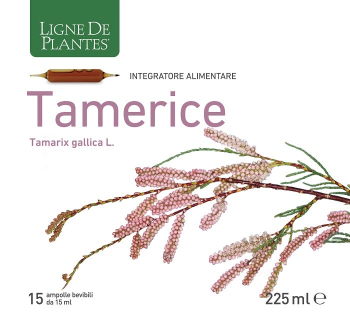 TAMERICE 15AMPOLLE-1