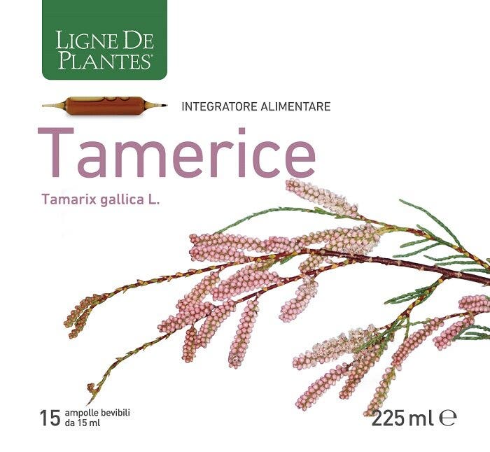TAMERICE 15AMPOLLE-2