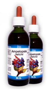AMPELOPSIS VEITCHII 50ML MG-1
