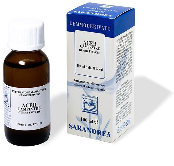 EXTRAGEM ACERO CAMPESTRE GEMME-1
