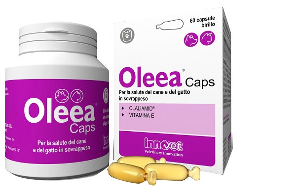 Oleea Caps 60 Capsule-1
