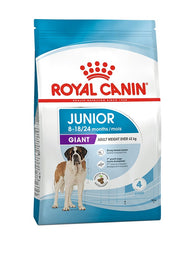SHN GIANT JUN,PUPPY 3,5KG-1