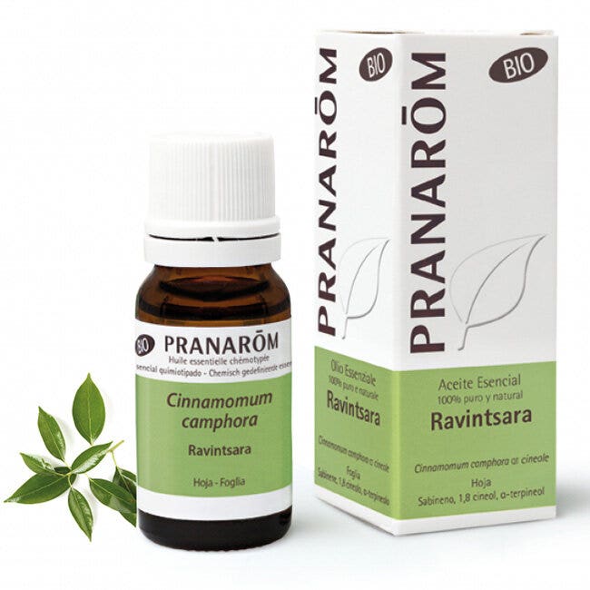 PRANAROM OE BIO RAVINTSARA10ML-1
