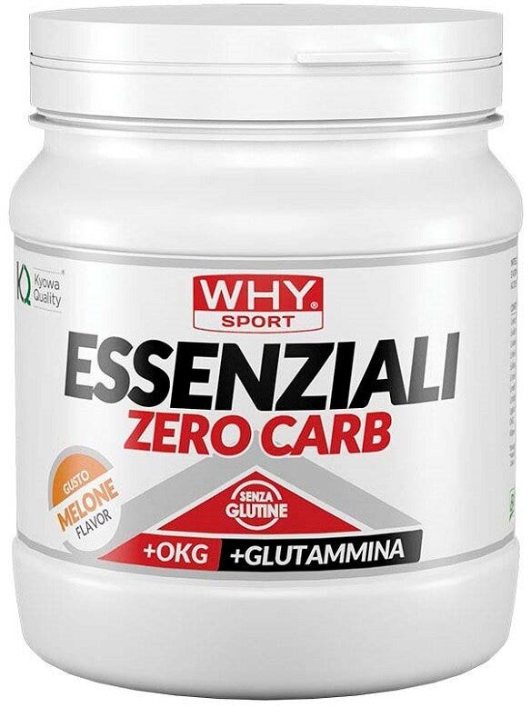 WHYSPORT ESS ZERO CARB MELONE-1