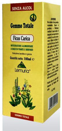 FICUS CARICA 100ML-2