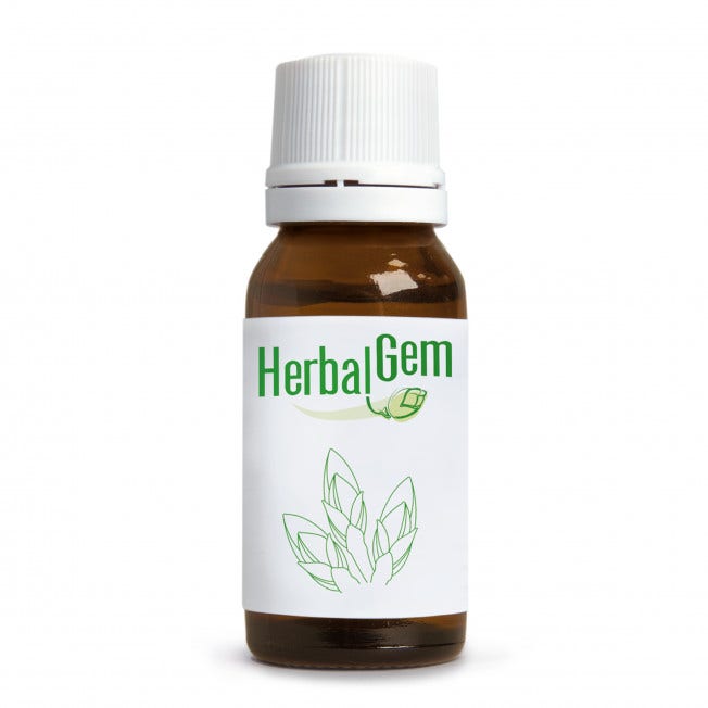 Herbalgem Fum Bio Vie Respiratorie 250ml-1