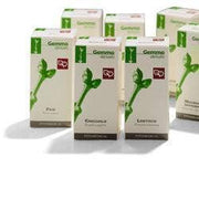 Fitomedical Magnolia Officinale Macerato Glicerinato Bio 200ml-1