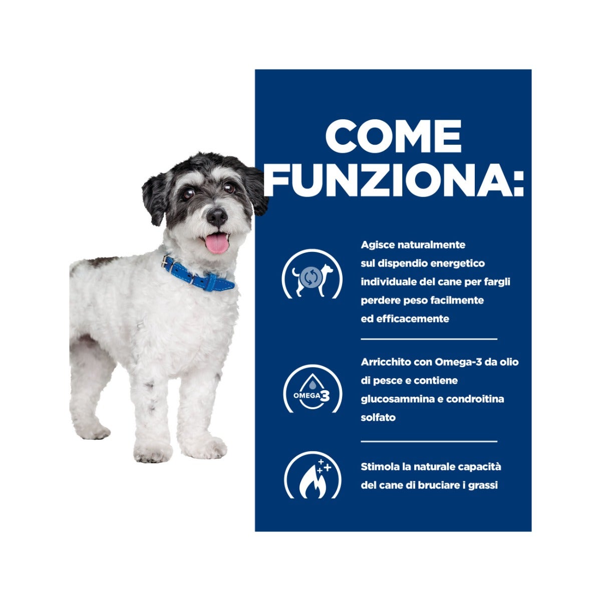 Hill's Prescription Diet J/D Metabolic+Mobility Crocchette Per Cani Taglia Mini Sacco 1kg-4