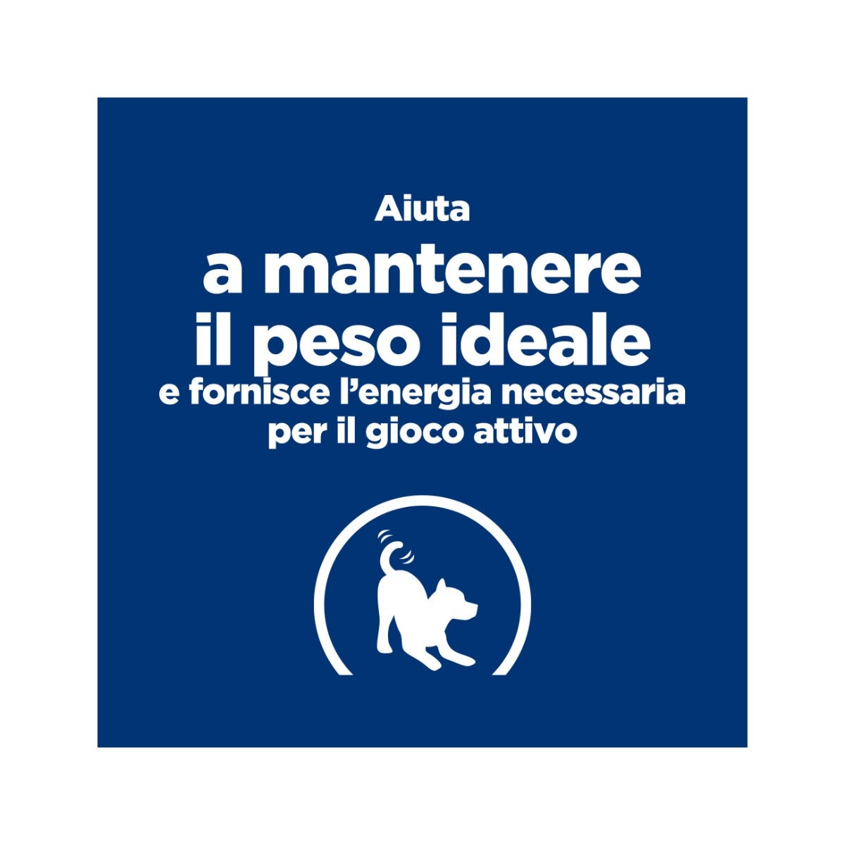 Hill's Prescription Diet J/D Metabolic+Mobility Crocchette Per Cani Taglia Mini Sacco 6kg-13