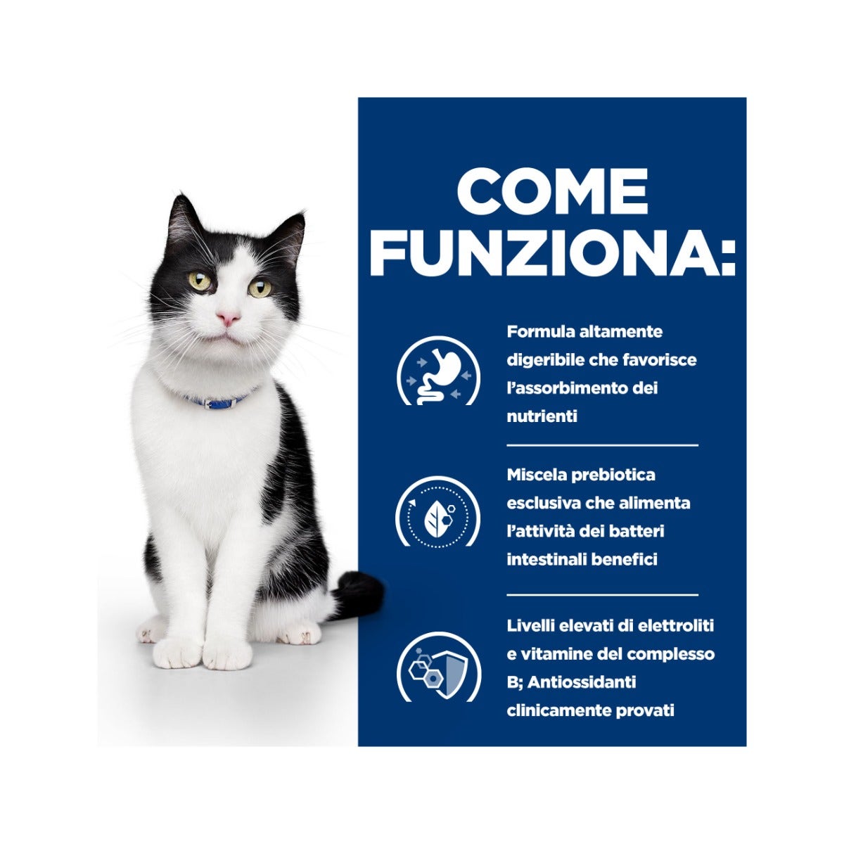 Hill's Prescription Diet I/D Digestive Care Crocchette Per Gatti Con Pollo Sacco 3kg-7