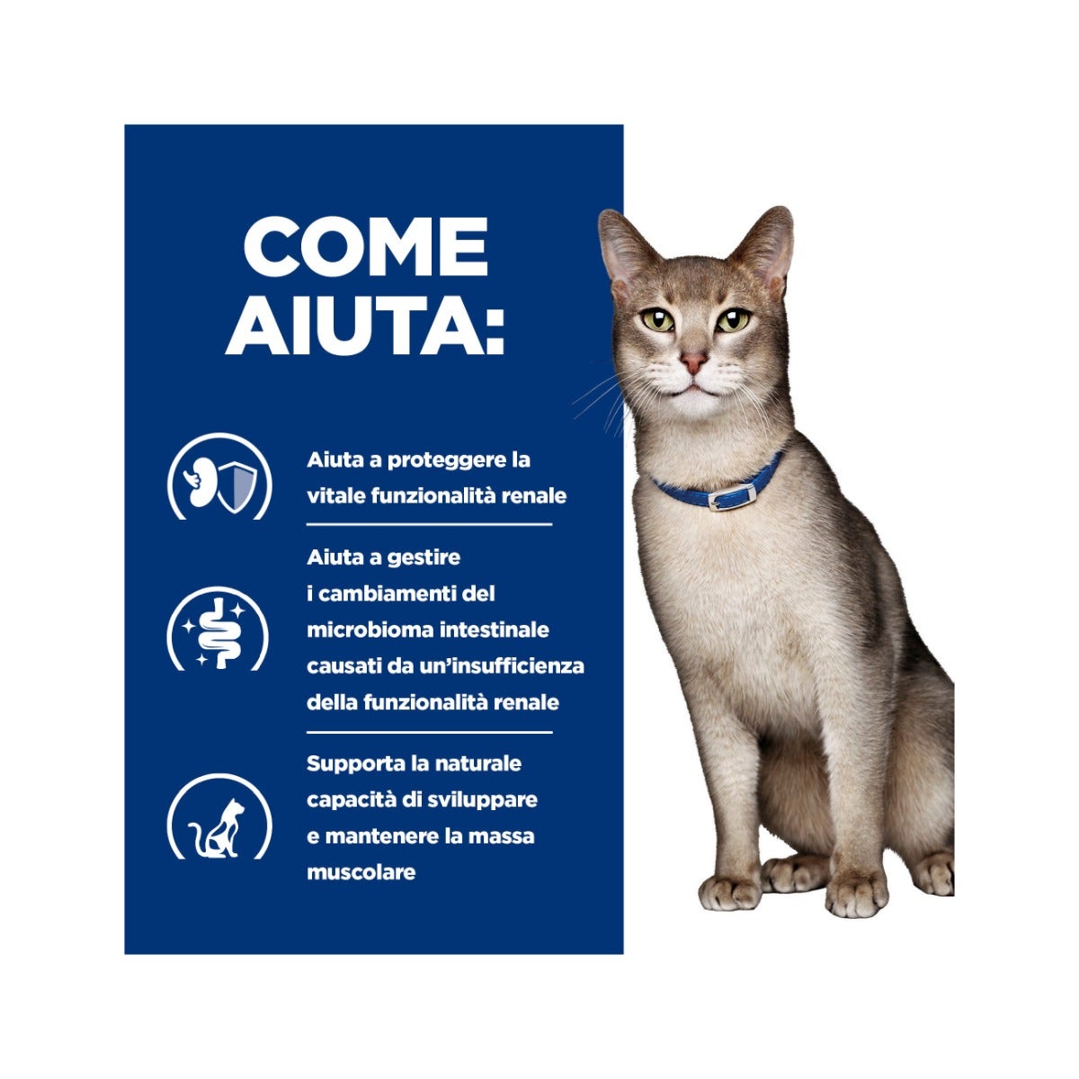 Hill's Prescription Diet K/d Alimento Per Gatti Con Pollo 3kg-11