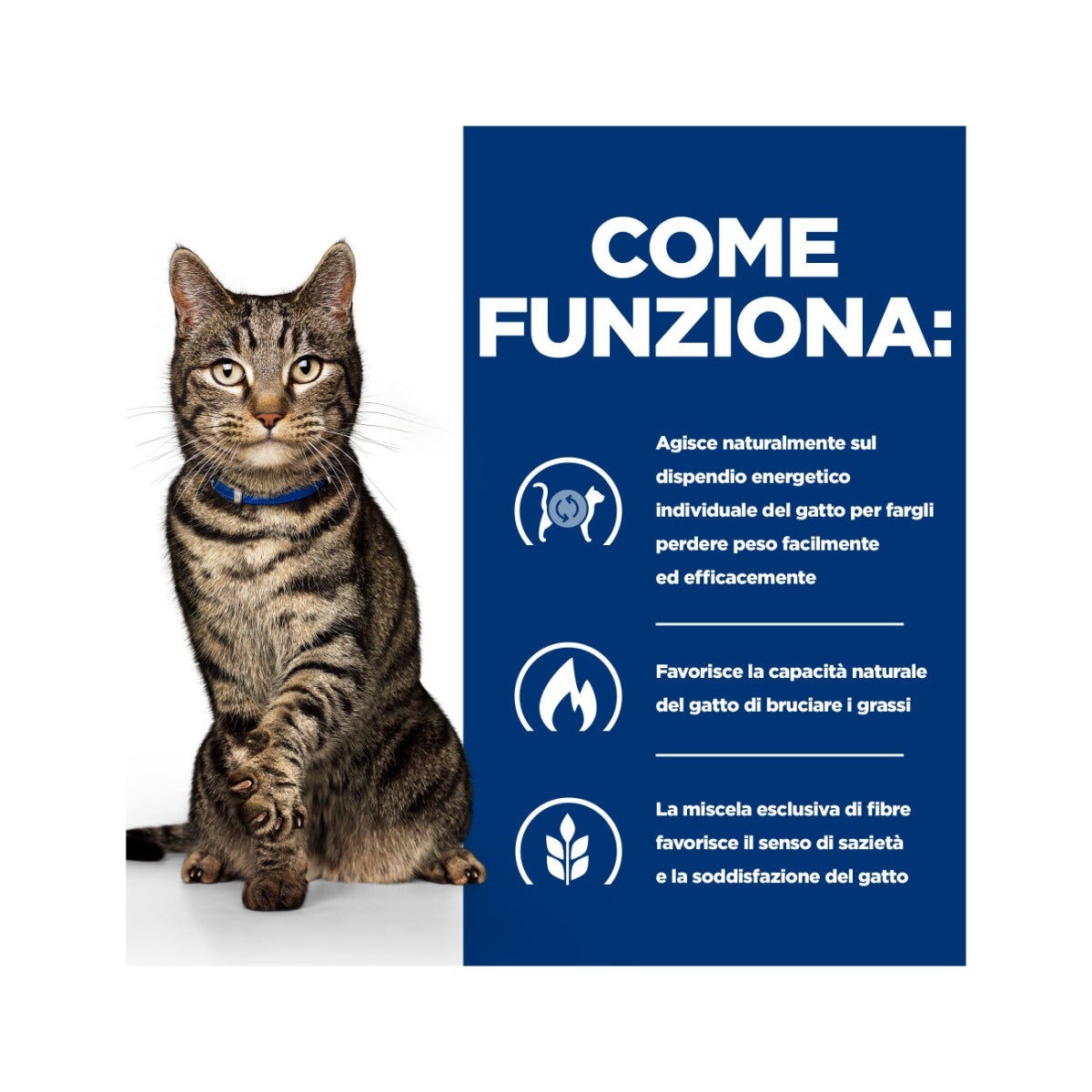 Hill's Prescription Diet Metabolic Crocchette Tonno Per Gatti Sacco 1,5kg-7