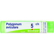 Boiron Polygonum Aviculare Granuli 05Ch Tubo 4g - 1
