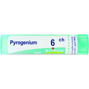 Boiron Pyrogenium Granuli 06Ch Tubo 4g  - 1