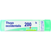 Boiron Thuya Occidentalis Granuli 200K Tubo 4g - 2