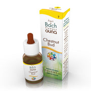 Guna Chestnut Bud Gocce 10ml-2