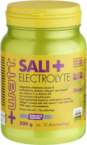 Sali+ Electrolyte Limone 500g-1