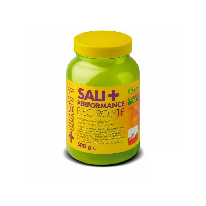 Sali+ Perfomance Electrolyte Gusto Limone 500g-1