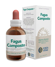 FAGUS COMPOSTO ECOSOL GTT 50ML-4