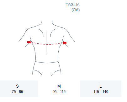 Pavis Fascia Toracica Cod. 811