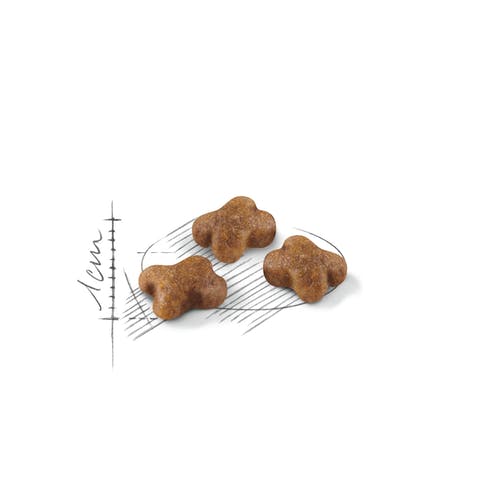 Royal Canin Feline Second Age Kitten Crocchette Per Gattini Sacco 10kg-3