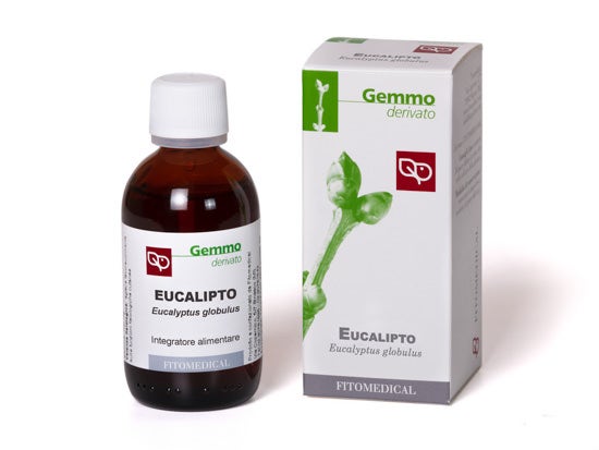 Eucalipto Macerato Glicerinato 50ml  - 2
