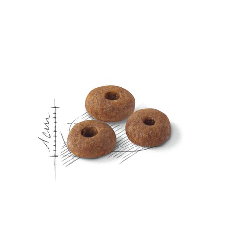Royal Canin Feline Regular Fit 32 Crocchette Per Gatti Sacco 2kg-1