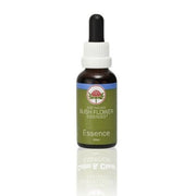 SPINIFEX ESSENZA 15ML