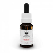 WISTERIA AUSTRALIAN 15ML GTT