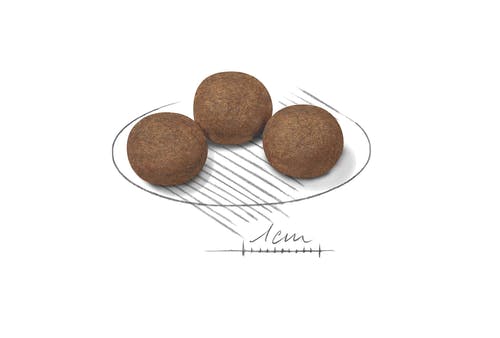 Royal Canin Crocchette Per Cuccioli Taglia Media Sacco 15kg-4