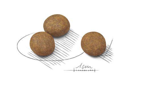 Royal Canin Crocchette Per Cuccioli Taglia Grande Sacco 4kg-4