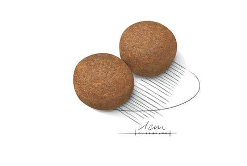Royal Canin Crocchette Per Cani Adulti Taglia Grande Sacco 15kg-4