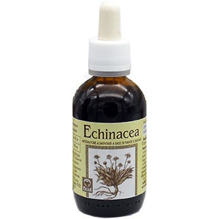 Ecol Echinacea Estratto Analcolico 50ml -3