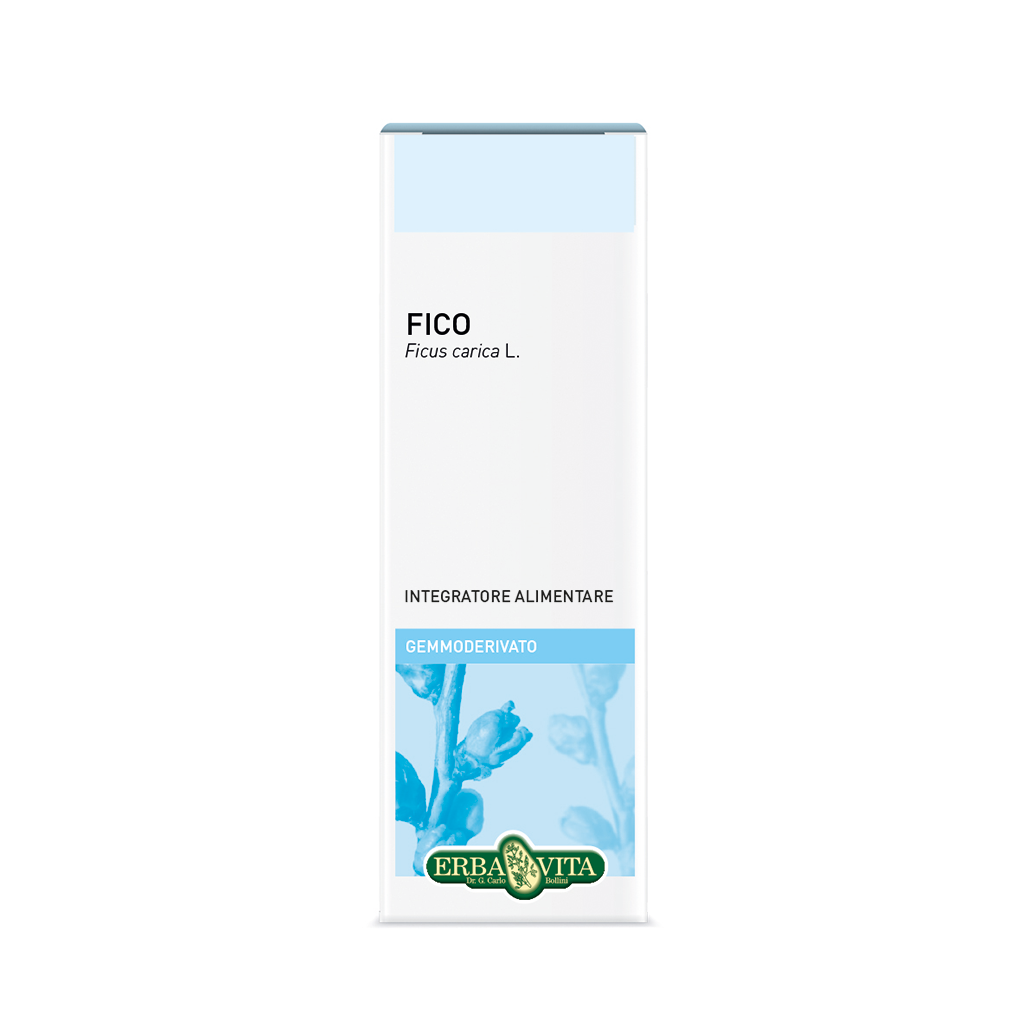 Erba Vita Gemmoderivati Fico 50ml  - 3