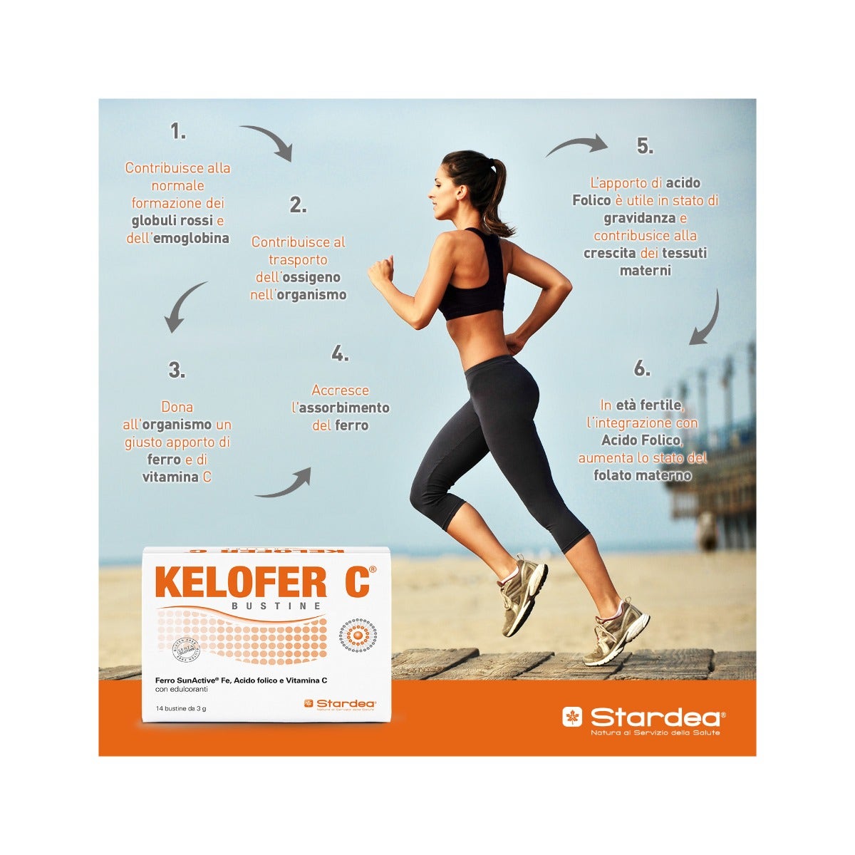 Kelofer C 14 Buste-5
