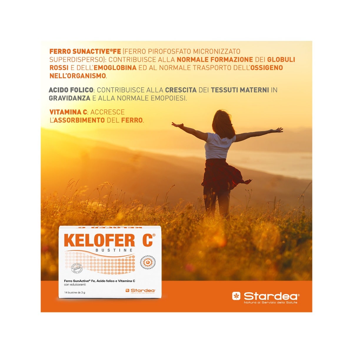 Kelofer C 14 Buste-6