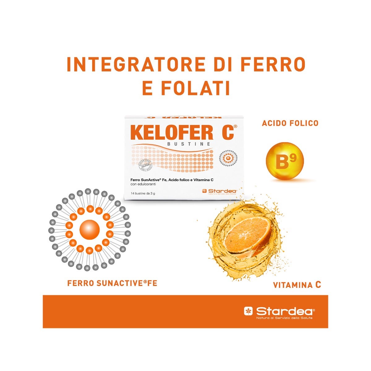 Kelofer C 14 Buste-7