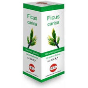 Ficus Carica Macerato Glicerico 100ml  - 1