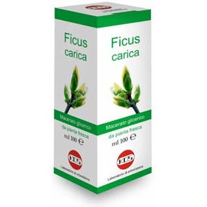 Ficus Carica Macerato Glicerico 100ml  - 1